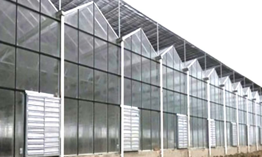multi bay pc greenhouse manufacture
