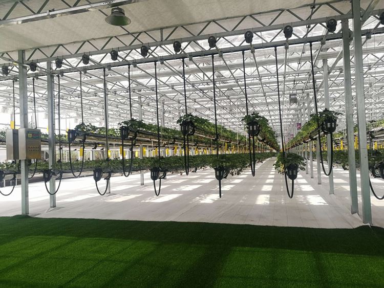 This way the greenhouse is more durable This way the greenhouse is more durable