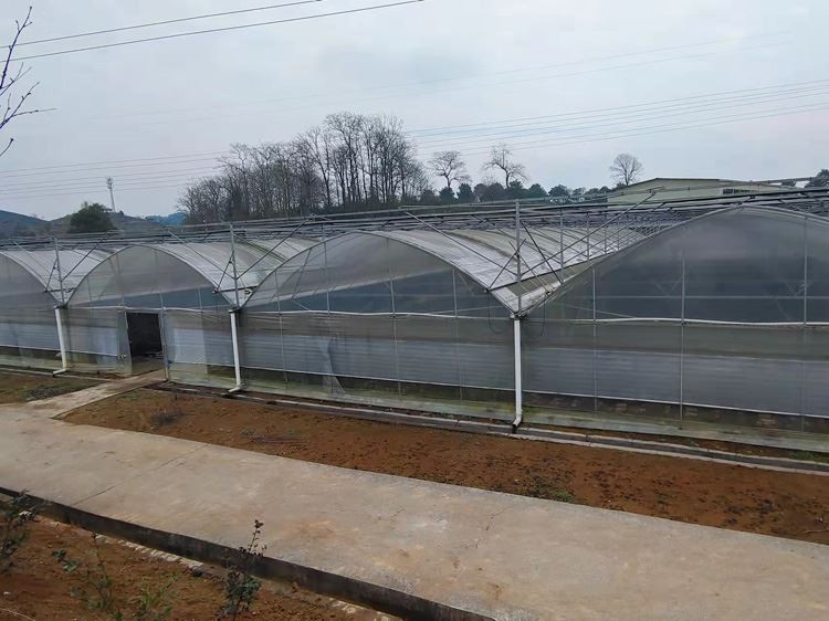 Greenhouse Greenhouse