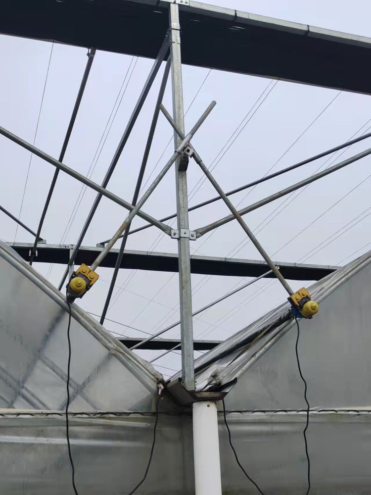 Seedbed acceptance specification acceptance conditions Seedbed acceptance specification acceptance conditions