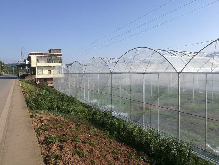 Detailed explanation of multi-span greenhouse construction technology Detailed explanation of multi-span greenhouse construction technology