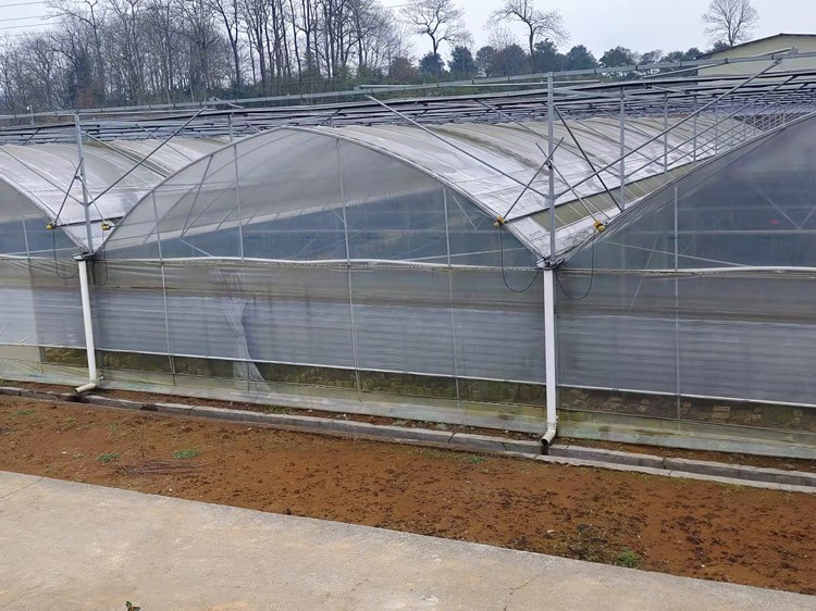 build a greenhouse build a greenhouse