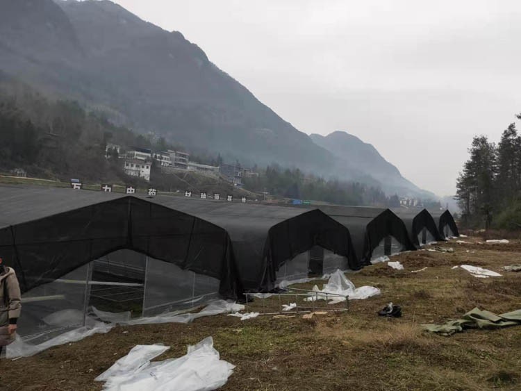 Nutrient soil disinfection method for seedbed making