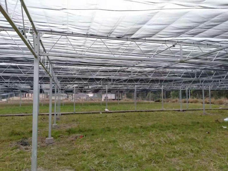 Shading Net Greenhouse Shading Net Greenhouse