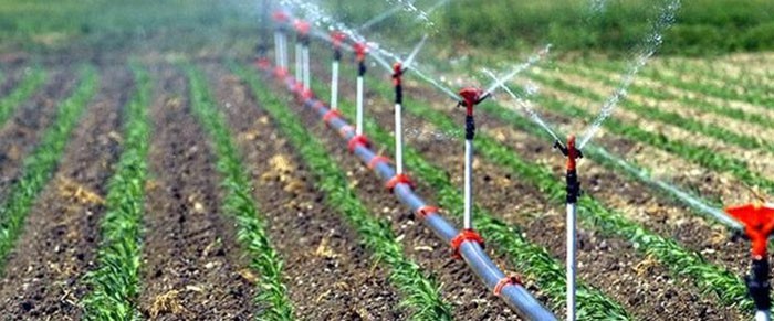 Sprinkler irrigation system