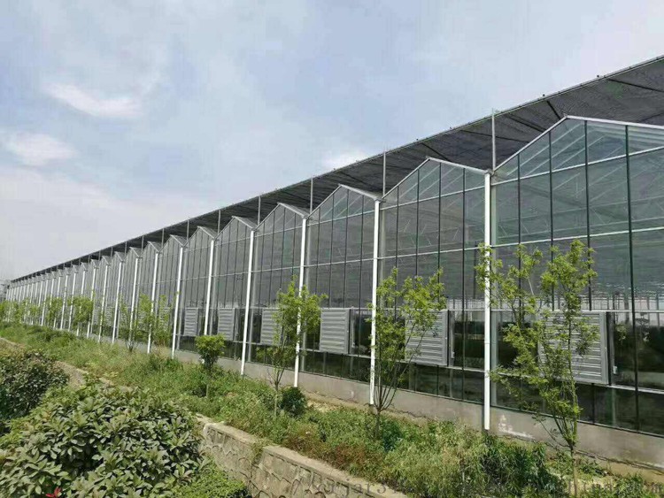 Glass Greenhouse