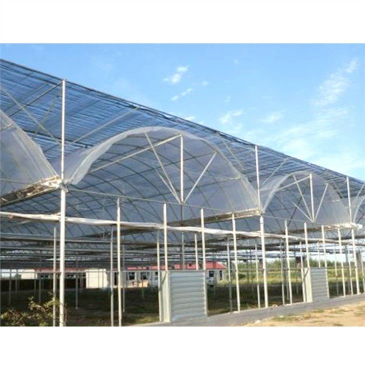 200 micron plastic greenhouse price