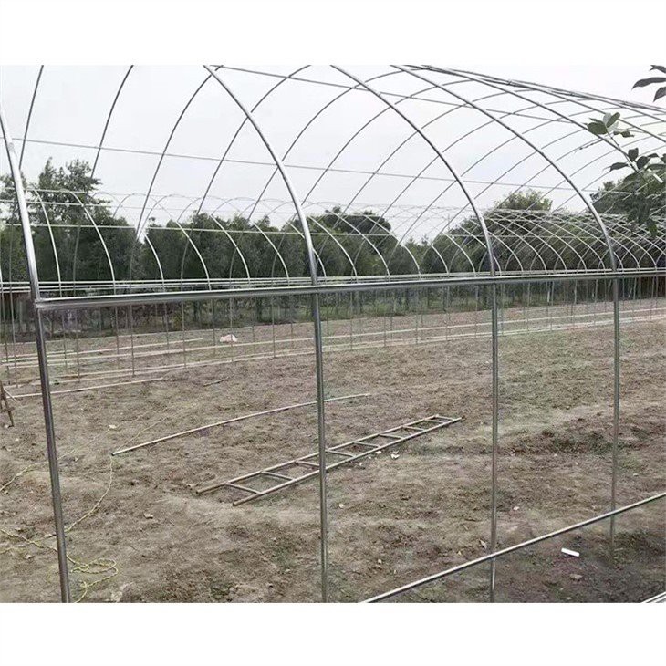 china 40x100 greenhouse plastic