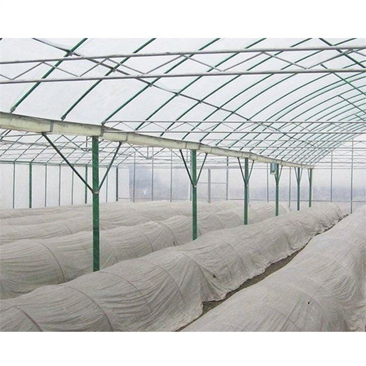 50 x 100 greenhouse plastic factory