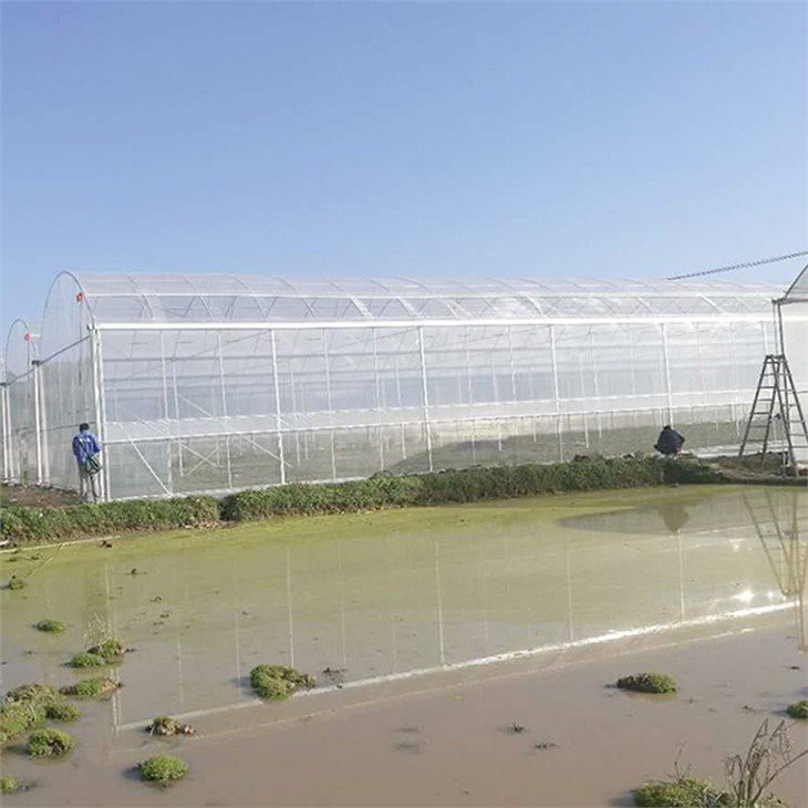 6 mil greenhouse plastic home depot price