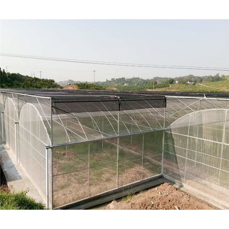 cold frame plastic sheeting for greenhouse price
