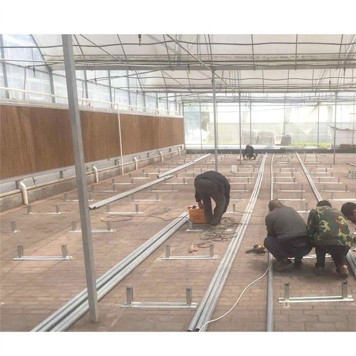 cold frame plastic sheeting for greenhouse supplier