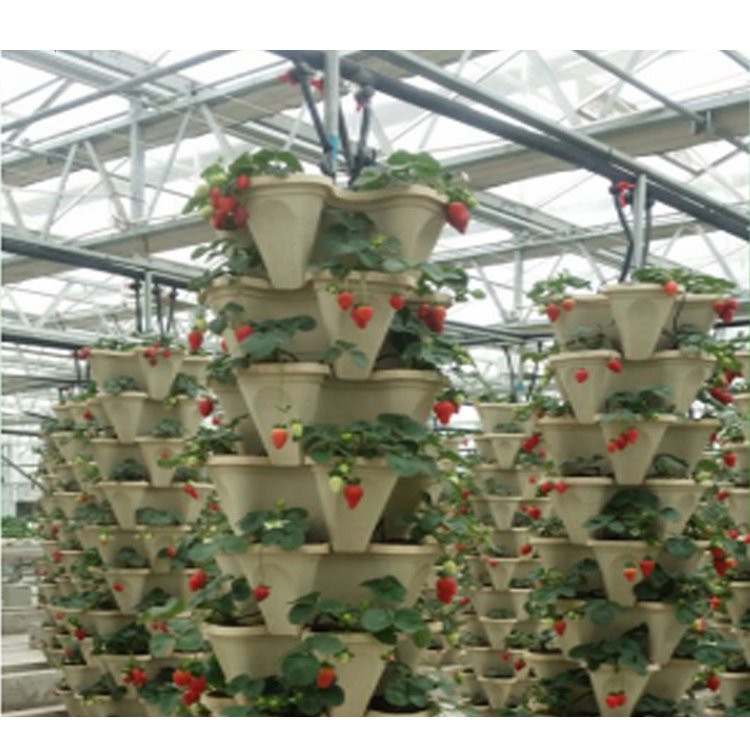 Greenhouse for Anti Season Vegetable/Flower/Fruits with Hydroponic Tomato Withpe/Glass/Po/Film Covering Agriculture/Commercial/Farm Multi Span Tunnel/Arch/Dome