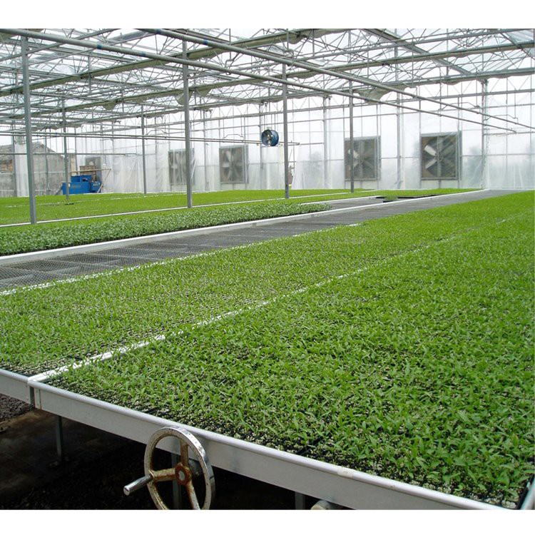 Agriculture Greenhouse Double Rolling Movable Seedbed Fixed Benches for Nursery