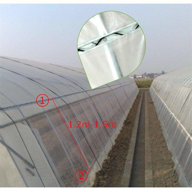 walk in plastic greenhouses cheap price