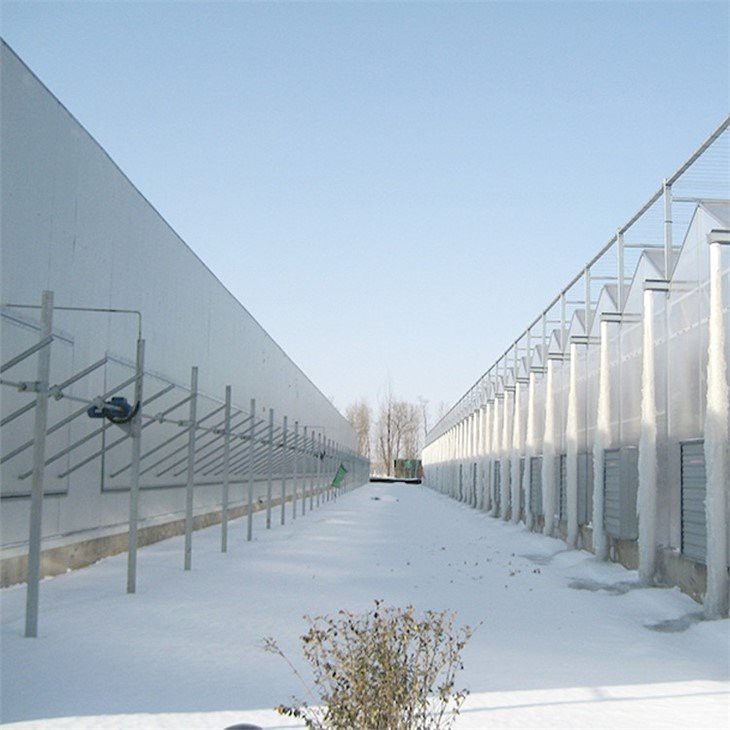 small greenhouse garden price