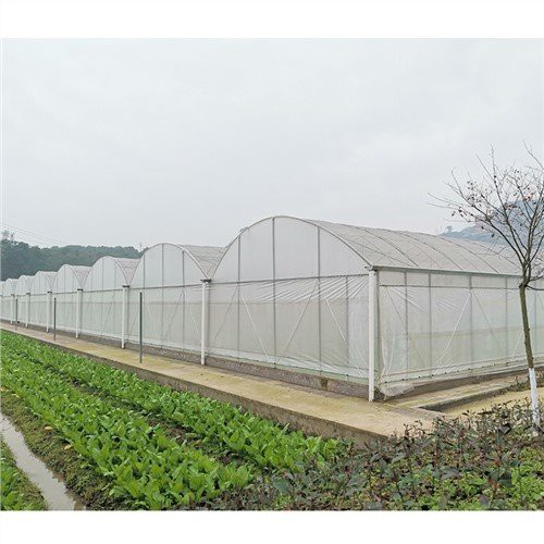 12 Mil Woven Greenhouse Plastic