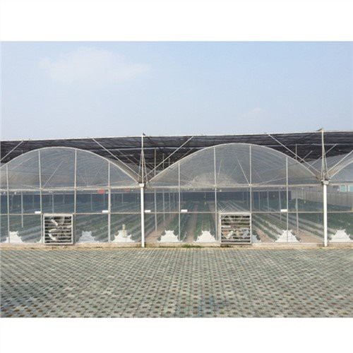 200 Micron LDPE Agricultural Greenhouse Film 200 Micron Plastic Film