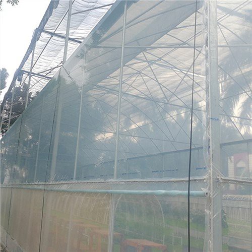 20' X 100' String Reinforced Poly Sheeting 6 Mil Thickness
