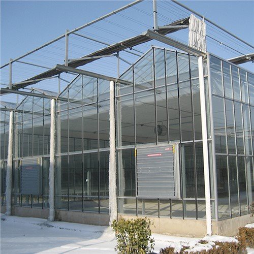 Agricultural/Vegetable/Hydroponic Growing Systems/PVC Pipe/Vertical/Farming Used/Plastic Single Span Film Greenhouse