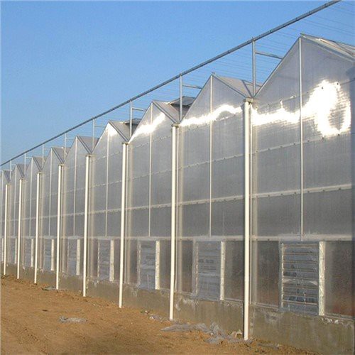 Customized Multi-Span Greenhouse for Agriculture Nft Systems and Vertical Vegetable Farming