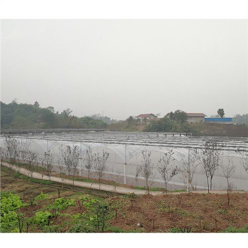 Fr-6 Polyethylene Tarpaulin Scaffolding Tarp Scaffold Sheeting