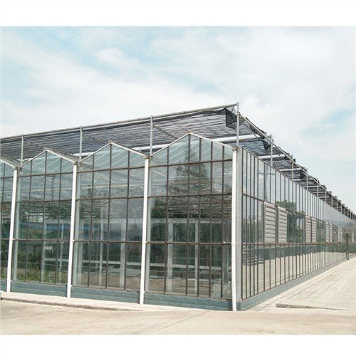 Clear Polythene Sheeting For Greenhouse