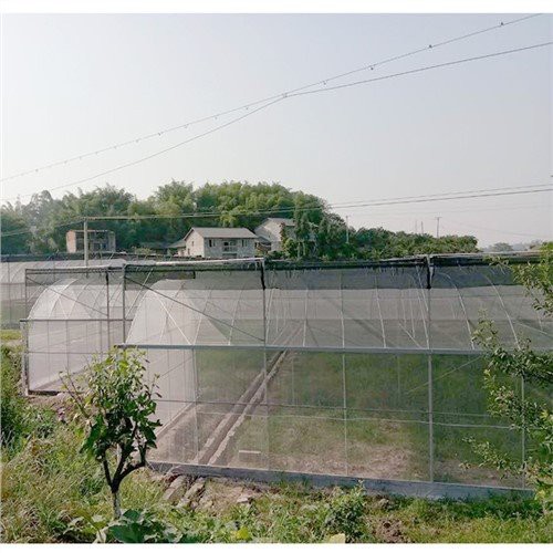 HDPE Polyethylene Biodegradable Agricultural Black Mulch Film for Greenhouse