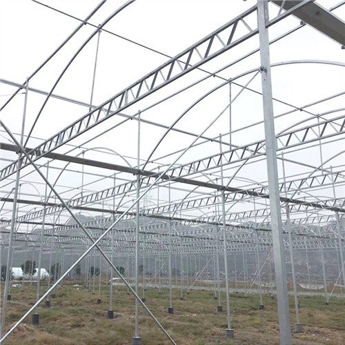 Hot Sale Galvanized Steel Frame Film Multi-Span Greenhouse for Vegetables