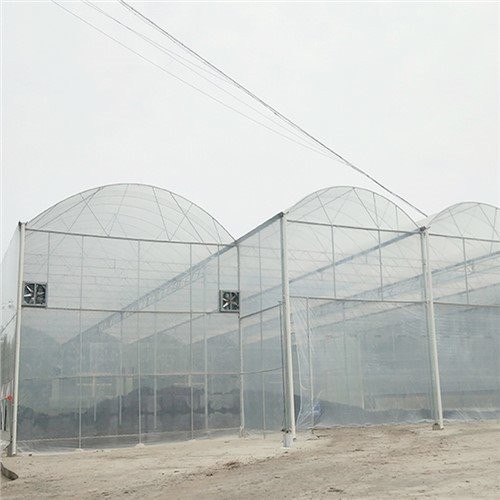 Plastic Net Sheet Multi Wall Polycarbonate Sheet Lexan OEM Factory