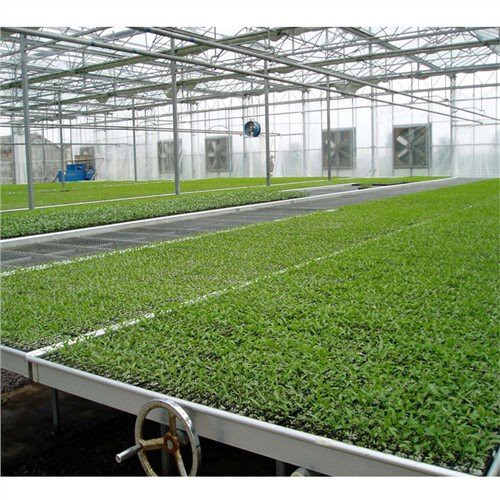 Welded Movable Plants Nursery Seedbed in Greenhouse