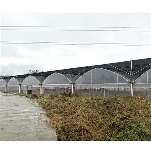 Homebase Plastic Greenhouse Covers