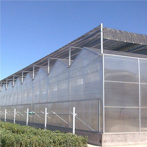 Strawberry Greenhouse Multi Span Glass Greenhouse for Agriculture Use