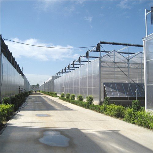 New Arrival Garden Products for Home Domestic Residential Backyard Hobby Greenhouse