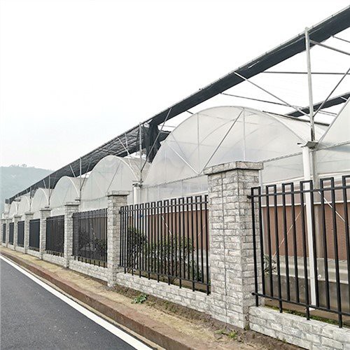 Dome Plastic Film Greenhouse with Hydroponics System for Vegetable Growing
