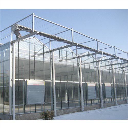 Jianda Greenhouse for tomatoes