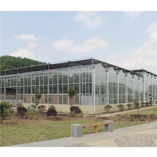 Multi-Span Venlo PC Sheet Vegetable Greenhouse for Planting