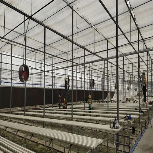 Greenhouse Hydroponic System